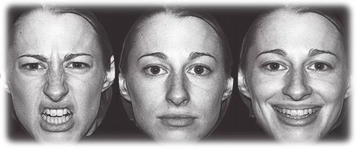 «ТрВ» №6(225), 28.03.2017