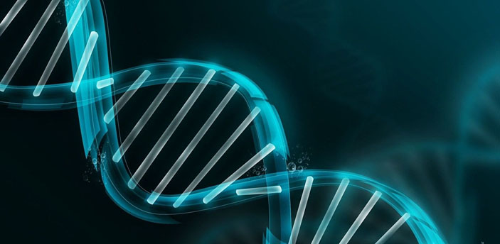 Обыгрывая бога: как делают искусственную ДНК («Популярная механика» №3, 2017)