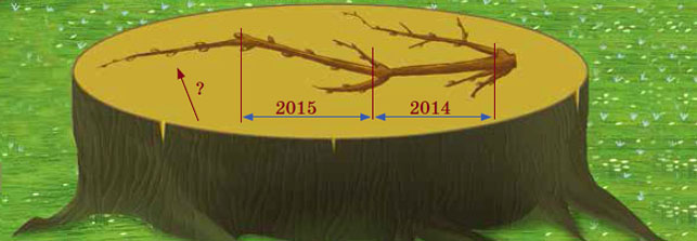 Почечные кольца. Художник Инга Коржнева («Квантик» №5 и №6, 2016)