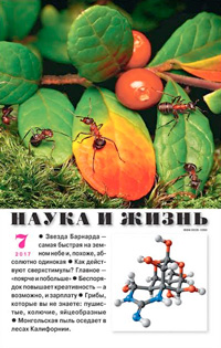 «Наука и жизнь» №7, 2017