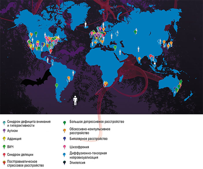 Международный консорциум по изучению мозга ENIGMA объединяет научно-исследовательские коллективы пяти континентов («Наука из первых рук» №1(73), 2017)