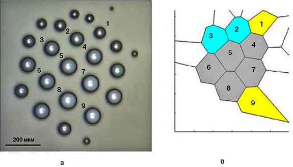 Разбиение Вороного для вычисления энтропии кластера («Химия и жизнь» №7, 2017)