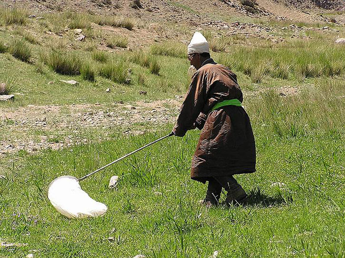 Добровольный помощник. Фото: Роман Яковлев («Коммерсантъ Наука» №6, сентябрь 2017)