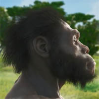 <i>Homo naledi</i>. День недостающего звена