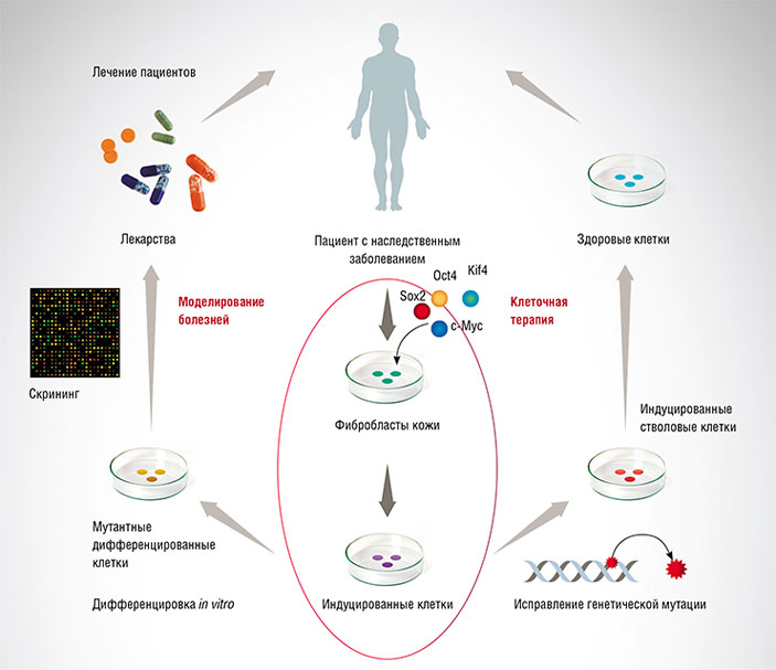 Практические приложения технологии ИПСК. По: (Некрасов и др., 2014) («Наука из первых рук» №4 (75), 2017)