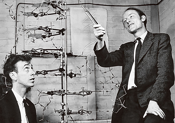 Джеймс Уотсон и Фрэнсис Крик в 1953 году рядом с созданной ими моделью ДНК («Кот Шрёдингера» №9–10, 2017)