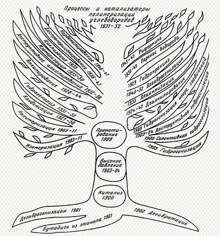 Современная версия «древа Ипатьева» («Наука из первых рук» №5–6(76), 2017)