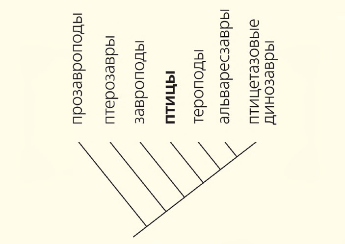Филогенетическая схема, основанная на новой гипотезе родственных связей высших архозавров, с указанием положения птиц («Природа» №5, 2016)