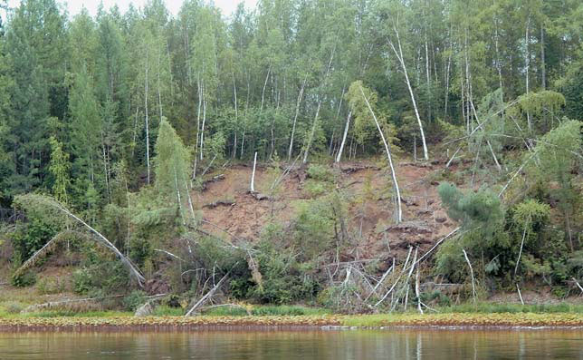 Оползни-сплывы на склонах по берегам рек — свидетельства снижения кровли мерзлоты («Природа» №12, 2016)