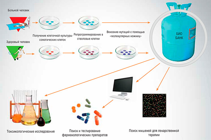 Биобанк клеточных моделей заболеваний человека («Наука из первых рук» №2(56), 2014)