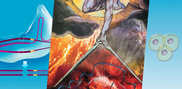 Каталитическая РНК: лекарство из добиологической жизни («Наука из первых рук» №3/4(57/58), 2014)