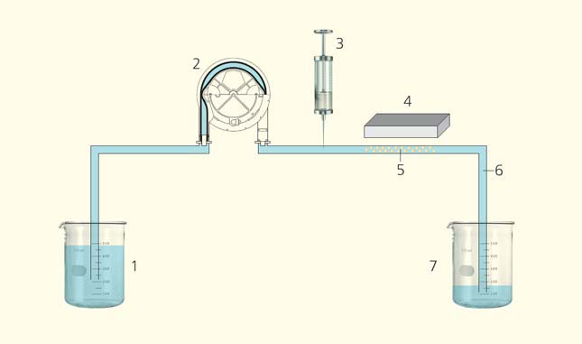 Рис. 3. Схема установки для изучения того, как в определенном месте потока магнитные частицы удерживаются магнитным полем («Природа» №7, 2016)