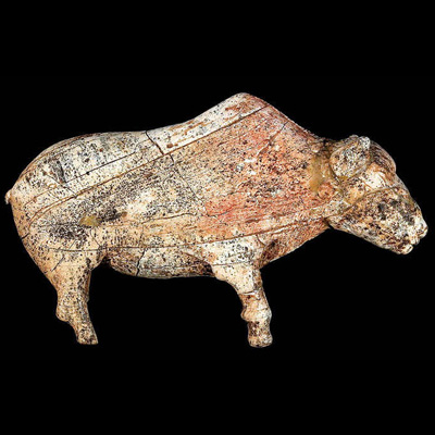 Зарайский бизон фото