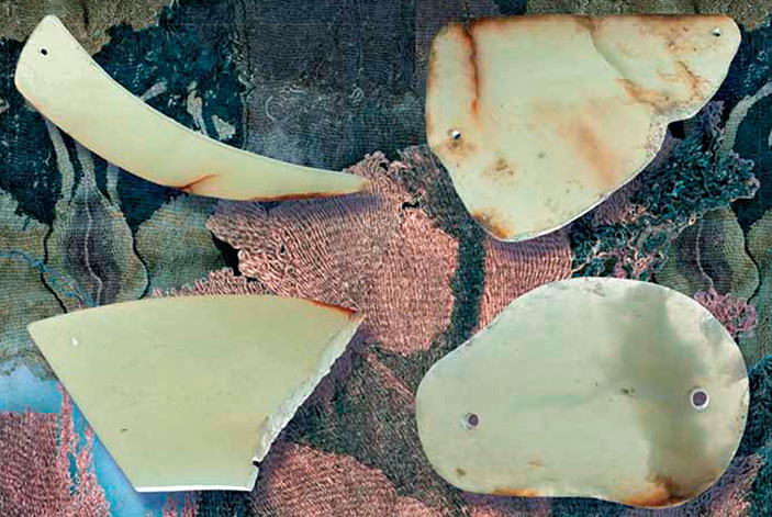 Нефритовые изделия из 22-го ноин-улинского кургана («Наука из первых рук» №6(60), 2014)