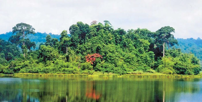 Крокодиловое озеро в национальном парке «Каттьен» Южного Вьетнама («Природа» №8, 2016)