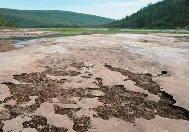 Остатки наледи в середине июля («Природа» №9, 2016)