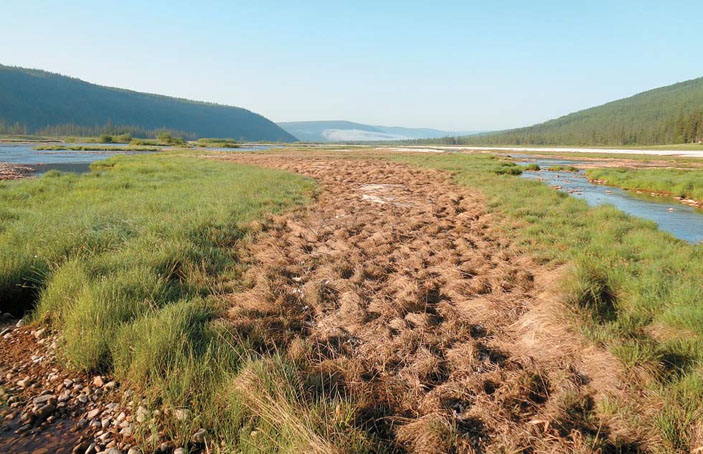 Наледная поляна («Природа» №9, 2016)