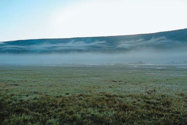 Утренний туман в долине («Природа» №9, 2016)