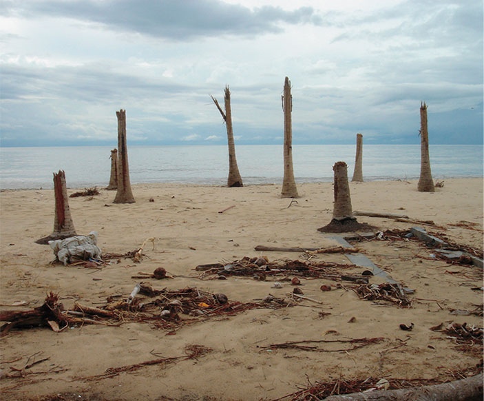 Местечко Лхо-Нга Бич на северо-западе Суматры («Наука из первых рук» №2/3 (78), 2018)