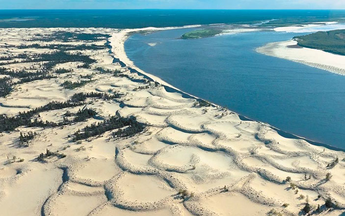 Параболические дюны Кысыл-Сырского тукулана на правобережье р. Вилюй («Природа» №11, 2016)