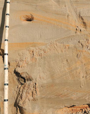 Косослоистый русловой аллювий в нижней части разреза Кысыл-Сырского тукулана («Природа» №11, 2016)