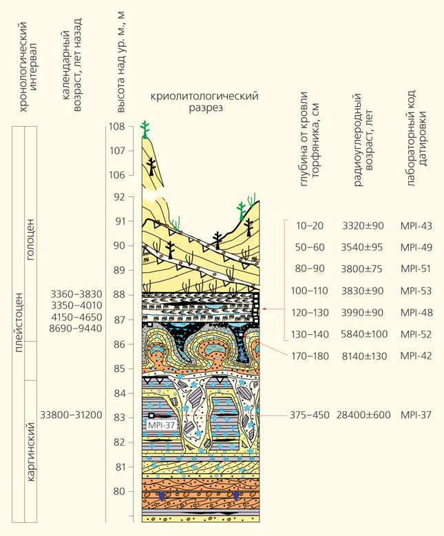Разрез и абсолютные датировки торфяника, погребенного в Кысыл-Сырском тукулане под позднеголоценовыми дюнными отложениями («Природа» №11, 2016)