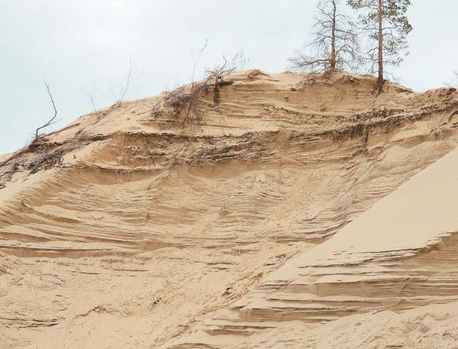 Стенка гравитационного обвала, вскрывающая строение позднеголоценовой части Кысыл-Сырского дюнного массива с погребенными почвенно-растительными горизонтами («Природа» №11, 2016)