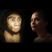 Рис. 1. Пять неандертальских косточек и зубов, из которых удалось выделить древнюю ДНК в достаточном количестве