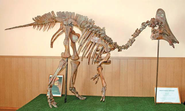 Скелет амурозавра Рябинина («Природа» №11, 2016)