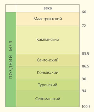 Схематическая геохронологическая шкала позднего мела («Природа» №1, 2017)
