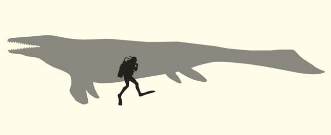 Реконструкция тилозавра («Природа» №1, 2017)