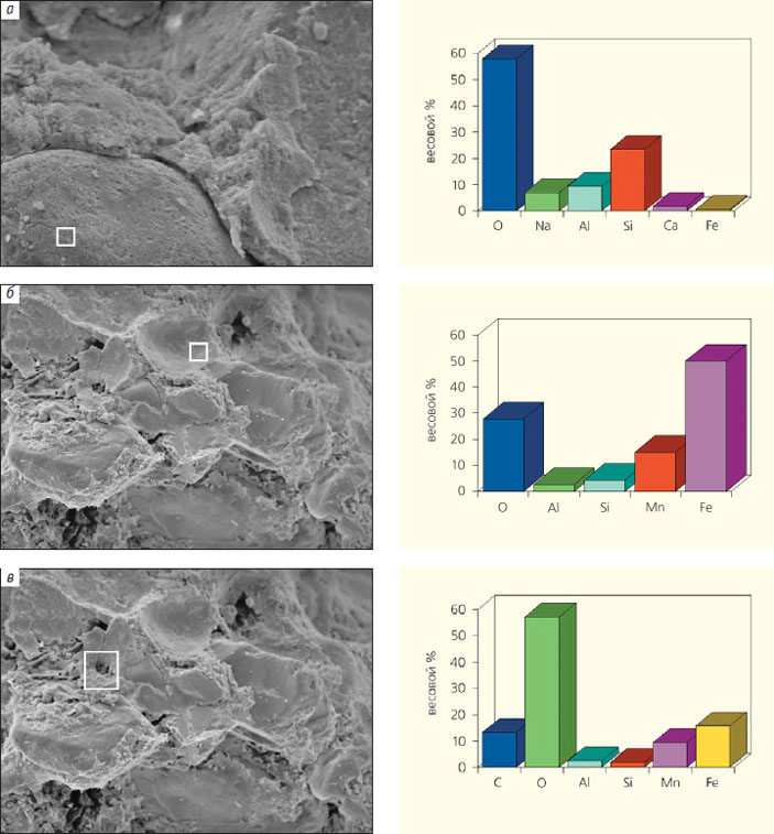 Результаты микрозондового анализа охристых и черных внутрипочвенных трубок (ортштейнов) («Природа» №5, 2017)