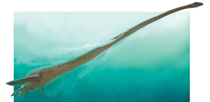 Гипотетический неоэласмозавр-рыбояд («Природа» №5, 2017)