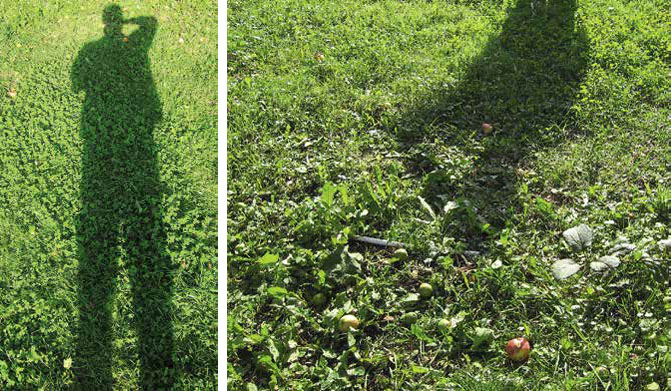 Тени от человека («Квантик» №9, 2017)