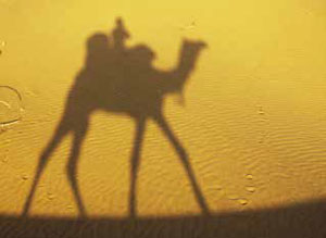 Тени от верблюда («Квантик» №9, 2017)