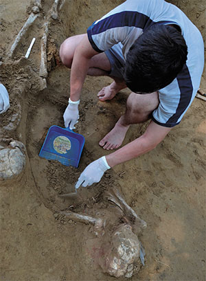 Палеогенетик Александр Пилипенко осваивает археологическую науку («Наука из первых рук» №3, 2018)
