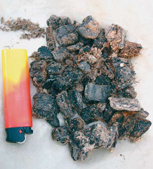 Уголь из почвенных разрезов пихто-ельников зеленомошных («Природа» №2, 2014)