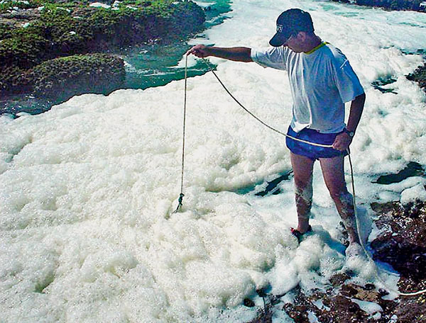 Пенные «сугробы» в Чили, вызванные нашествием оболочника из рода Pyura («Наука и жизнь» №11, 2018)