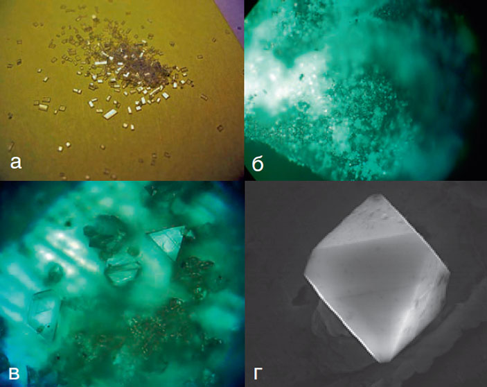 Рис. 3. Кусочки пластиковой бутылки из PET и синтезированные микроалмазы («Коммерсантъ Наука» №54(4), ноябрь 2018)
