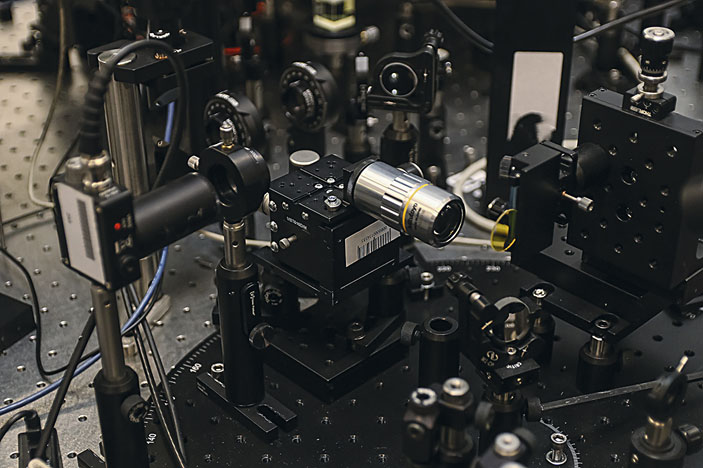 Поляритонный усилитель («Кот Шрёдингера» №1–2(39–40), 2018)