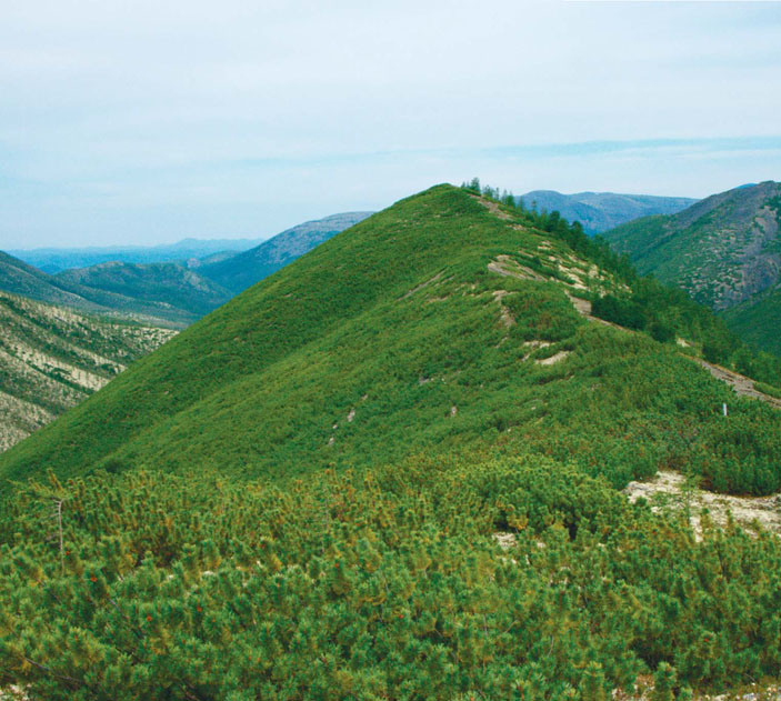 Южный склон хребта Большой Анначак («Природа» №9, 2014)