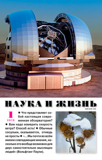 «Наука и жизнь» №1, 2019
