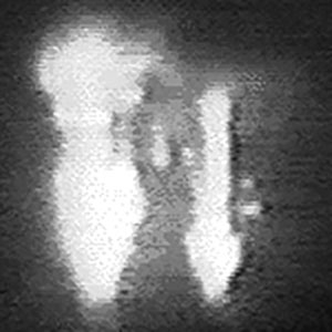 Первый спрайт («Троицкий вариант» №2, 2019)