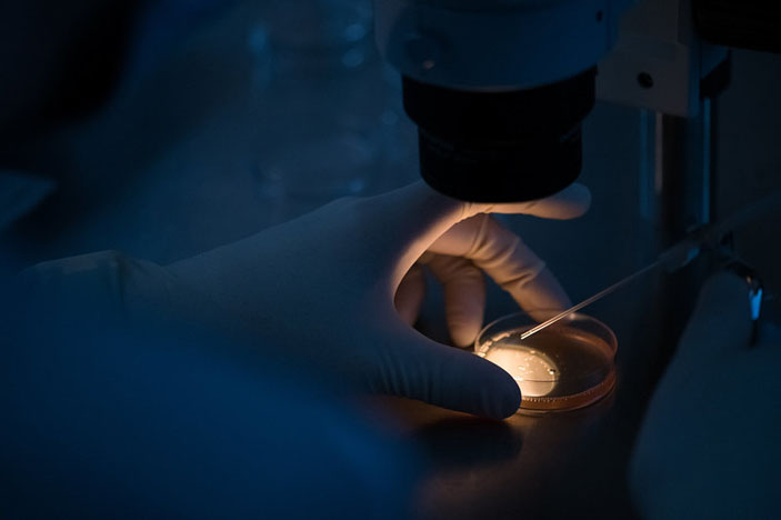 Чашка Петри («Популярная механика» №12, 2018)