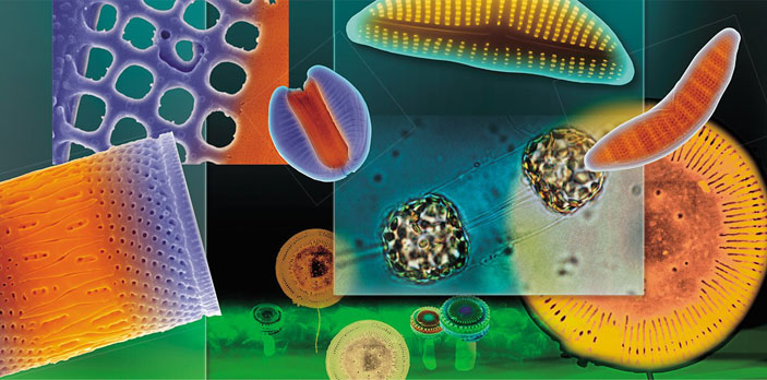 Кремниевые нанотехнологии «в пробирке» («Наука из первых рук» №2(68), 2016)