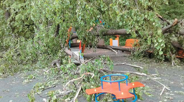 Рис. 3. Последствия мощного урагана, случившегося в Москве 29 мая 2017 г. («Природа» №7, 2017)