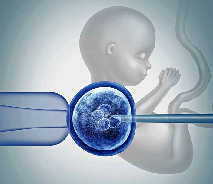 Манипуляции с эмбрионом («Химия и жизнь» №4, 2019)