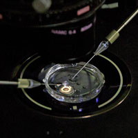 Исправленные дети