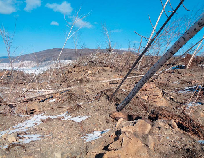 «Пьяный лес» на поверхности оползневого тела («Природа» №4, 2019)