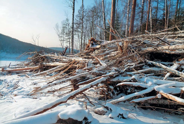 Древесные валы на границе максимального проникновения волны («Природа» №4, 2019)